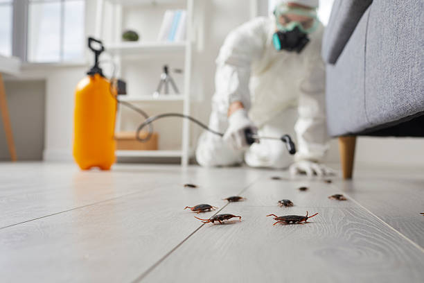 Commercial Kitchen Cockroach Control in Bay Minette